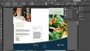 Adobe Indesign Image