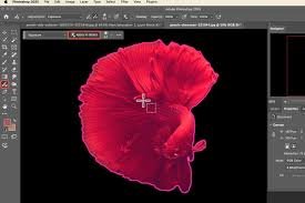 Adobe Photoshop Image