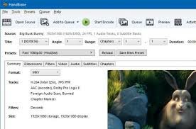 Handbrake Image