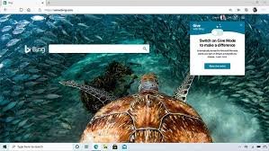 Microsoft Edge Image